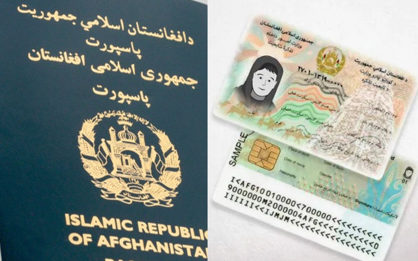 د الکترونیکي تذکرو سیسټم د پاسپورت عمومي ریاست الکترونیکي سیسټم سره نښلول کېږي