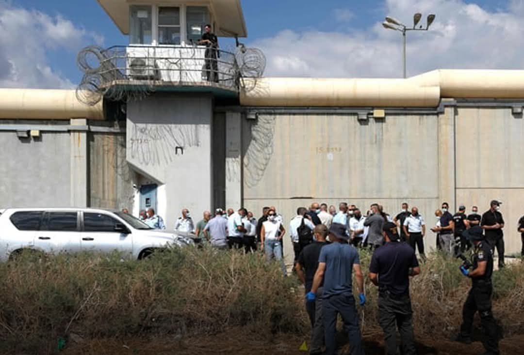 اسرايل ۱۸۳ فلسطيني بنديان ازادوي