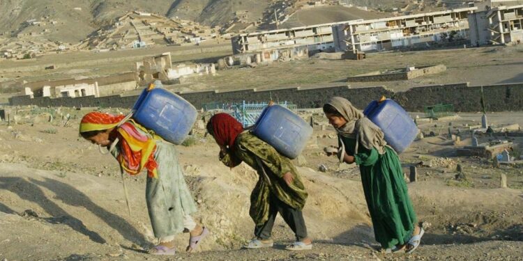 بخش زنان سازمان ملل متحد: افغانستان از نظر آسیب‌پذیری در برابر تغییرات اقلیمی در رتبه هفتم در میان کشورهای جهان قرار دارد و زنان و دختران آسیب‌پذیر تر اند