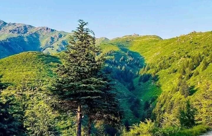 د کونړ د مرورې ولسوالي نوم منورې ته بدل شو